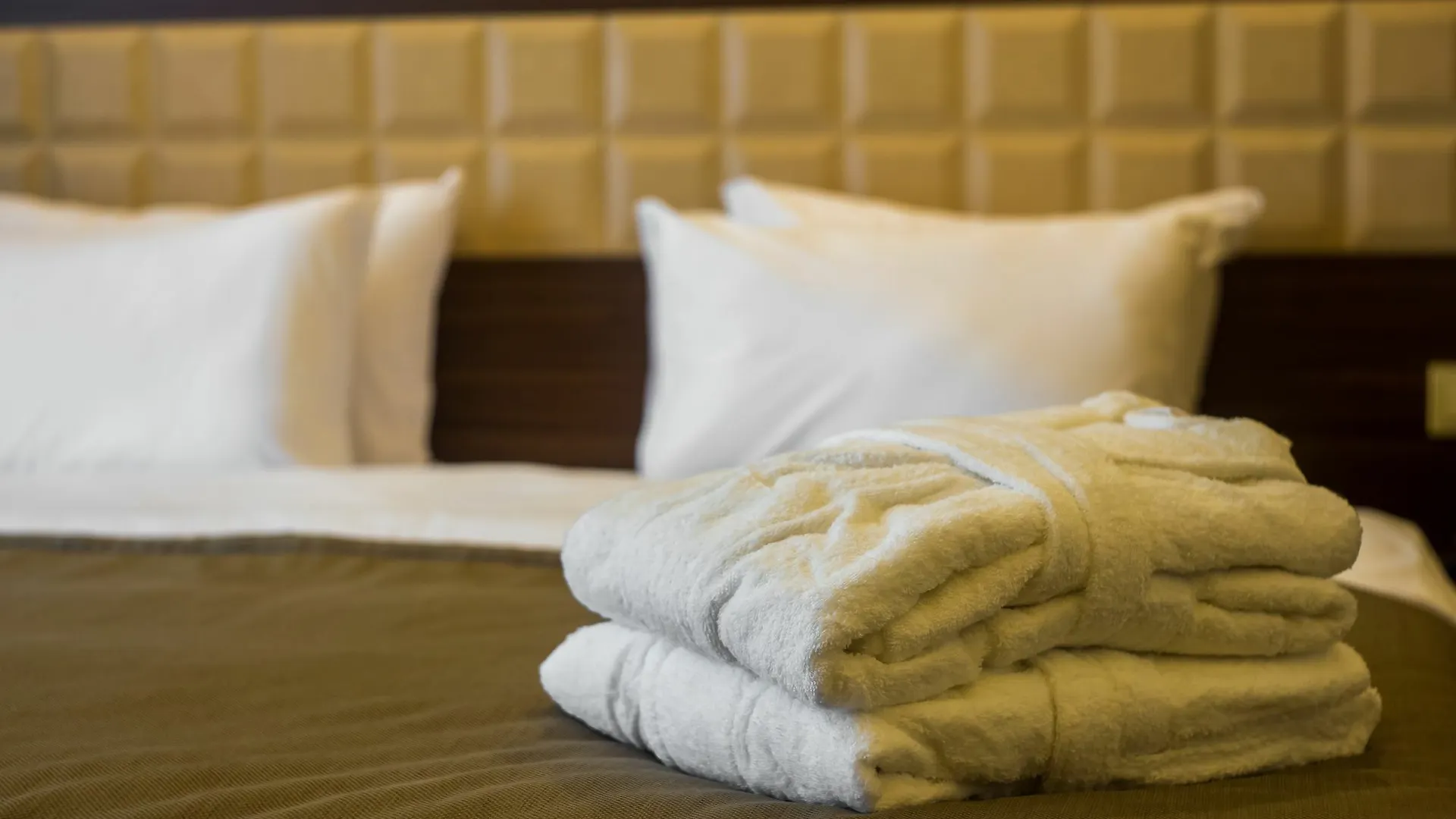 Istanbul Gold Hotel 바쿠